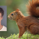 Image for article titled A Florida Man Was Caught Driving Drunk With A Squirrel In His Shirt